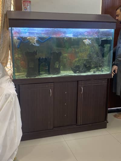 Fish aquarium