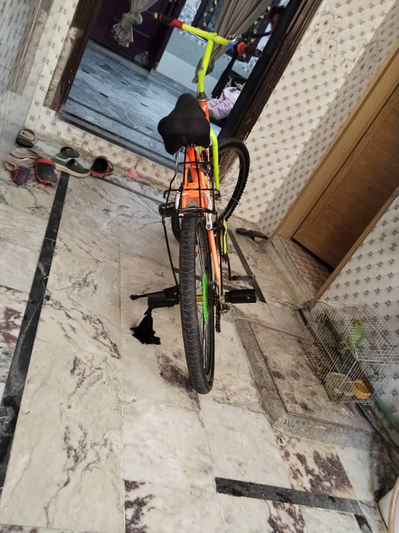 cycle 0