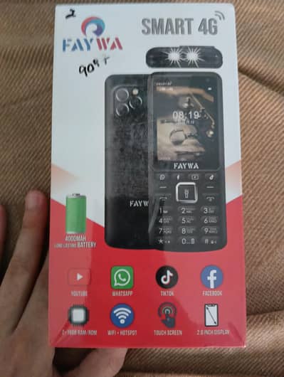 Faywa Smart 4G