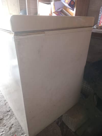 Dfreezers full size one dour