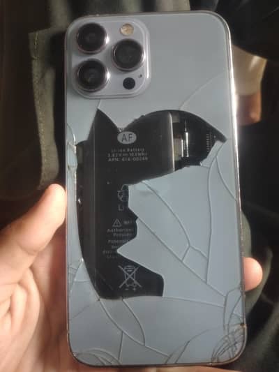 Apple iPhone 13 Pro Max  turkish