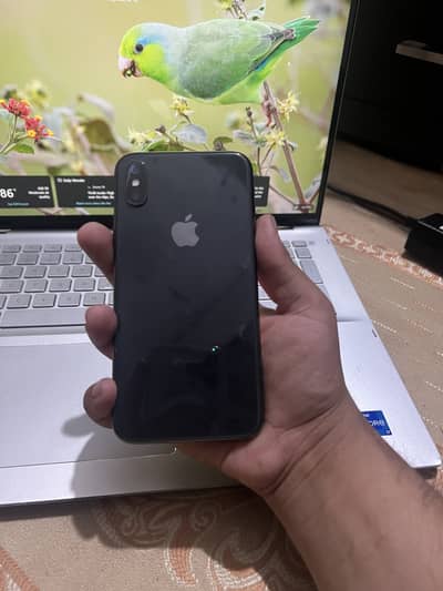 Apple iPhone X