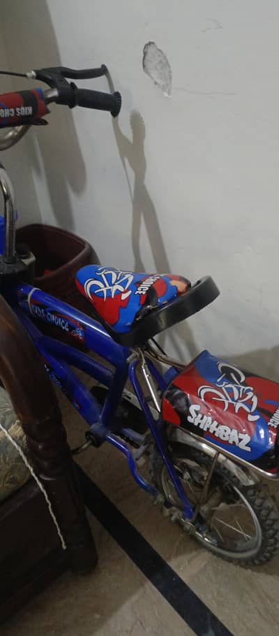 baby cycle