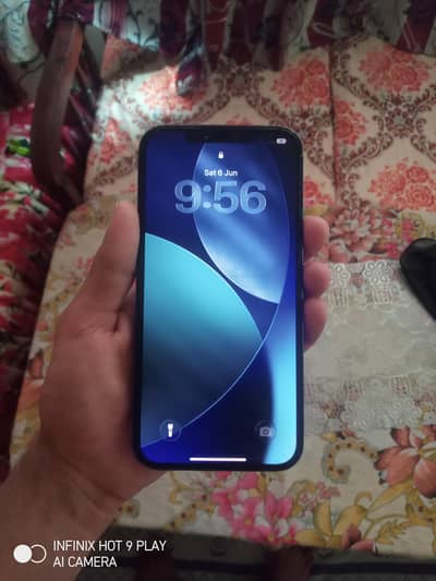 Apple iPhone 12 Pro Max