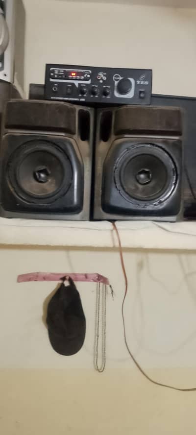 Panasonic Genion original 6" with Pak Amplifier