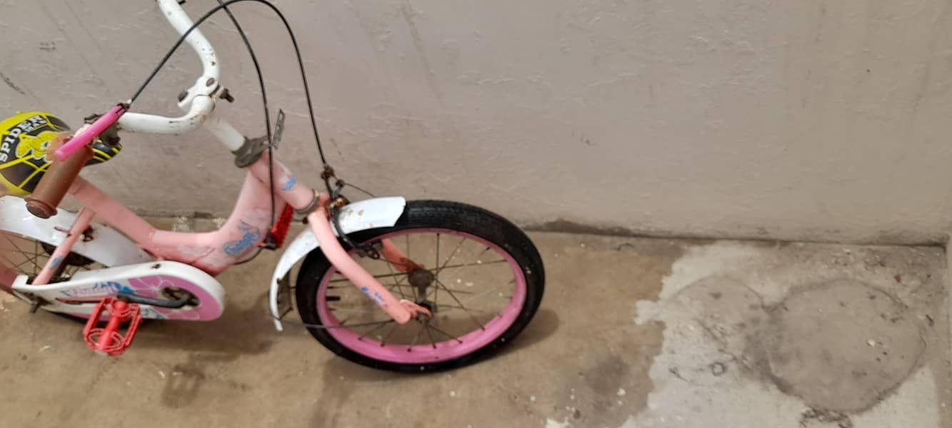 Pink cycle 0