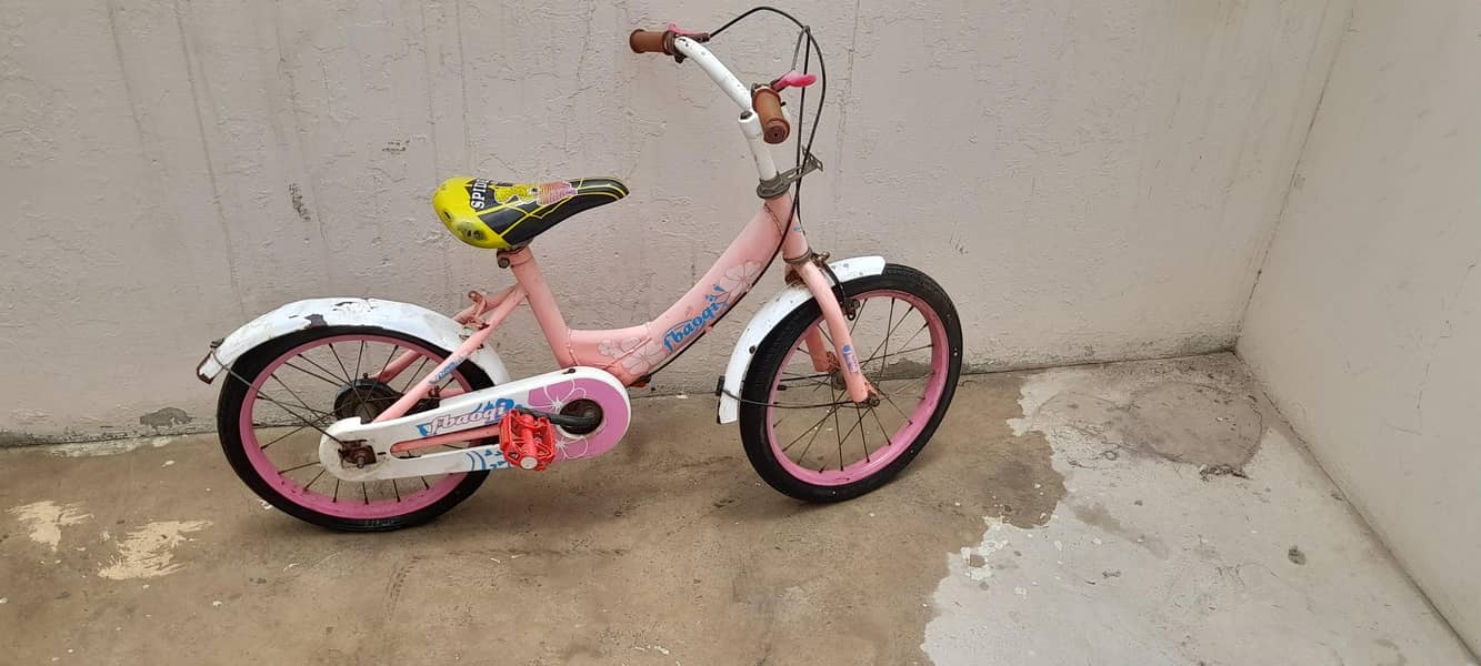 Pink cycle 1