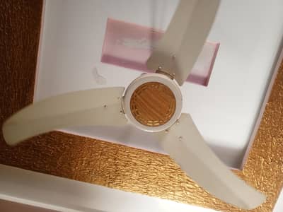 Cieling Fan 2026