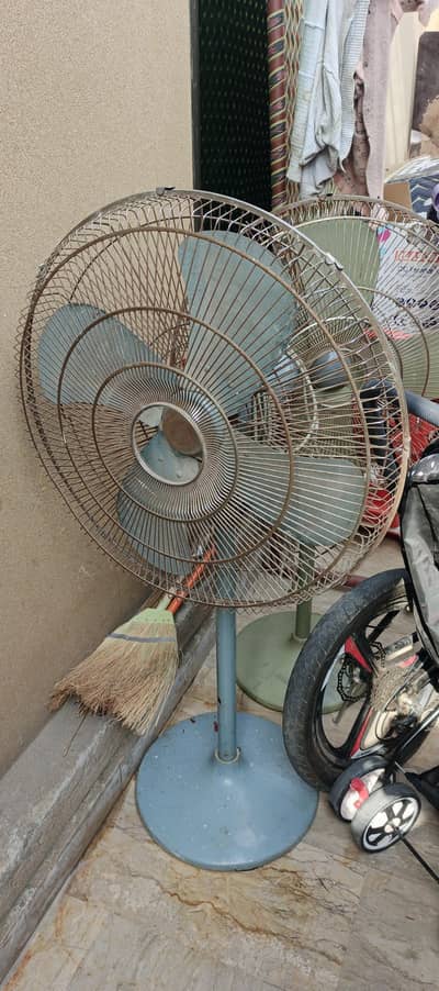 pedestal fans