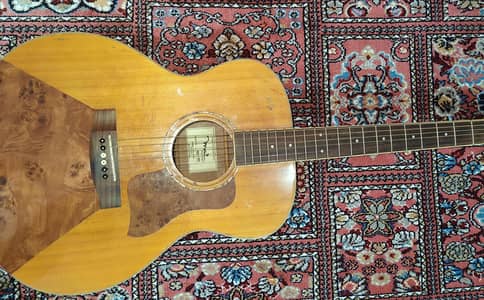 acoustic guitar