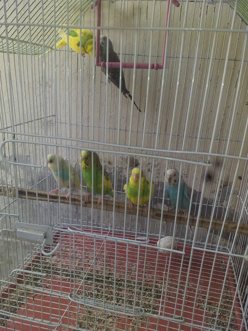 bugies 3