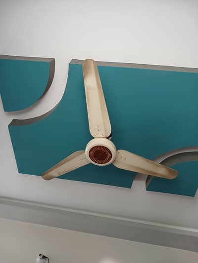 Sale fan one year used just circuit expired serious buyers can contac