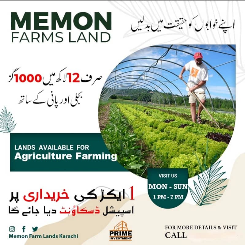 Farm house plot 1
