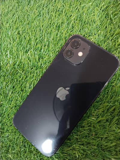 Apple iPhone 12