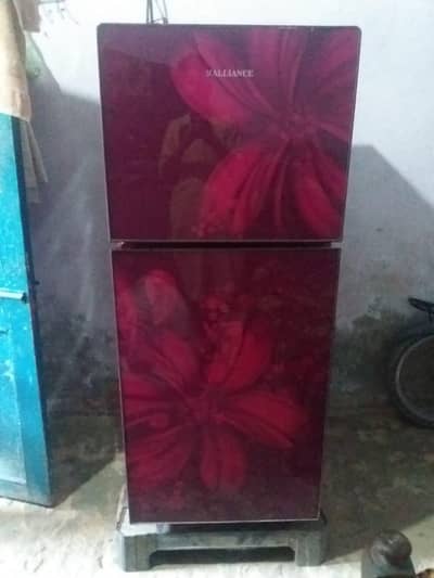fridge bilkul ok midume size totally ganvan gals dor. 03038356796