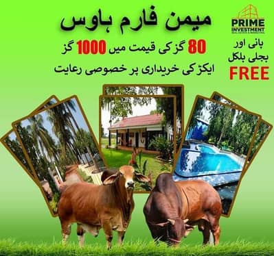 Cattle farm