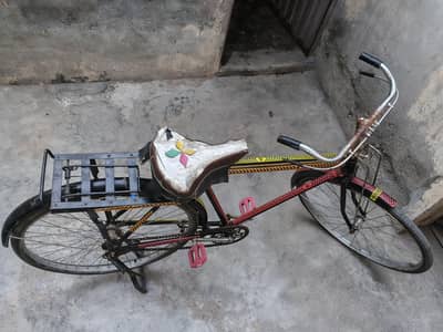 cycle
