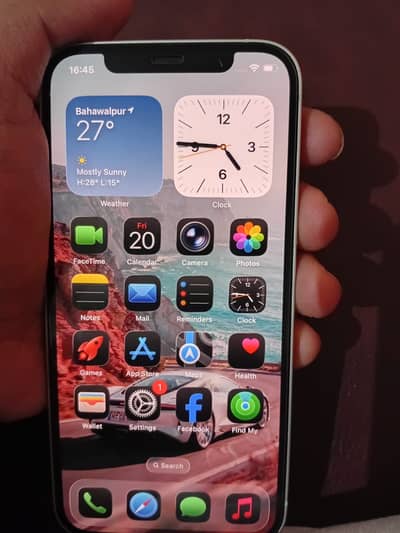 iPhone 12 Factory Unlock