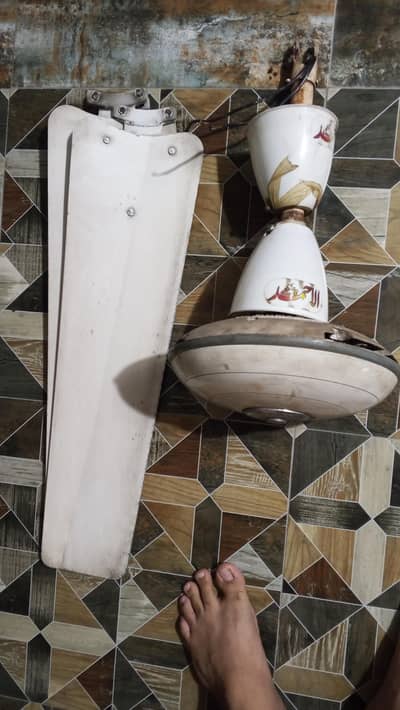 Ahmed Ceiling Fan 56"