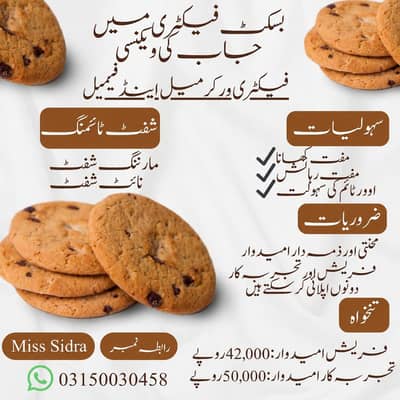 Biscuit Factory Staff Required | Male & Female | Lahore