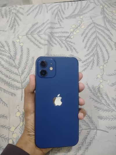 Apple iPhone 12