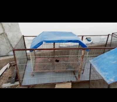 hen cage