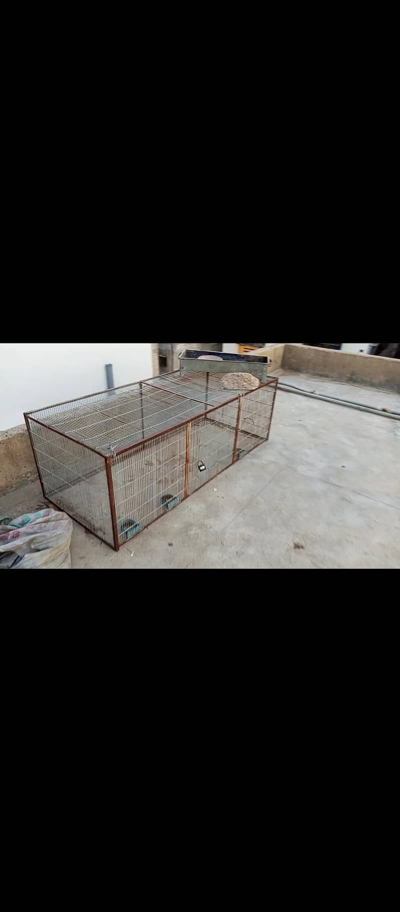 hen cage 1