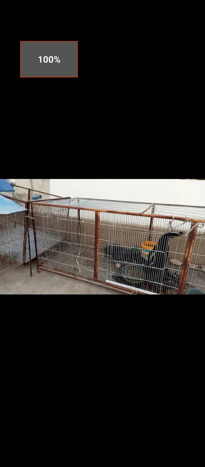 hen cage 2