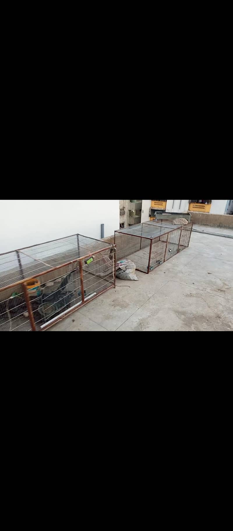 hen cage 4