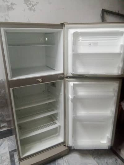 Pel refrigerator Medium size