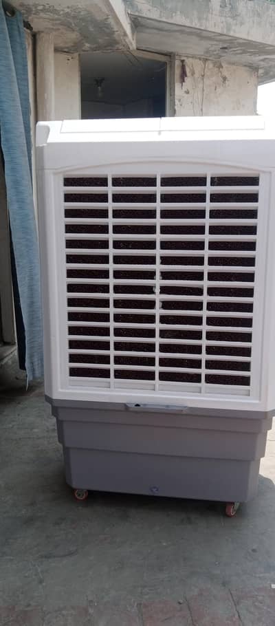 it has a decent Colour white and gray
