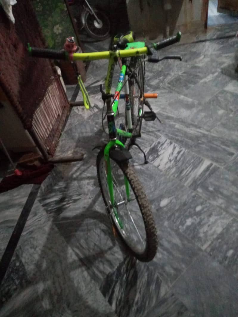 Cycle 1