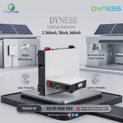Dyness Lithium Ion Battery  | 2.56Kwh, 5Kwh , 16Kwh  5kwh 6000 cycle