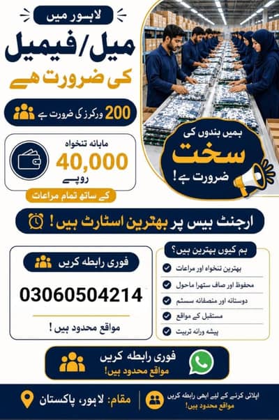 NS JOB