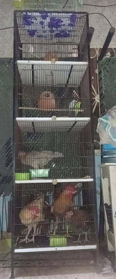 birds cage in good condition