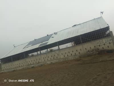 shed structure
