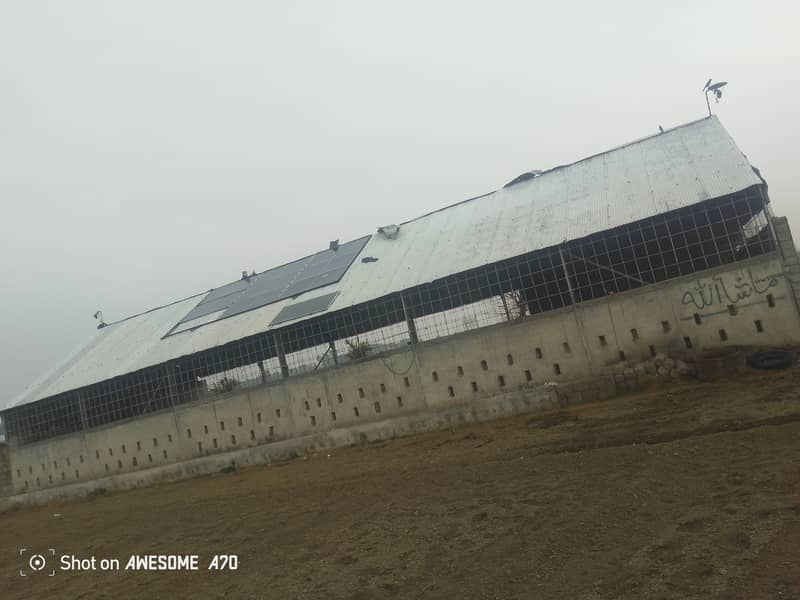shed structure 0