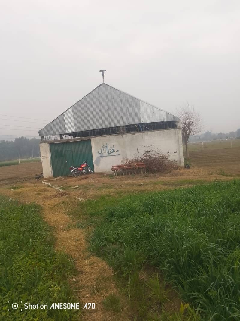 shed structure 3