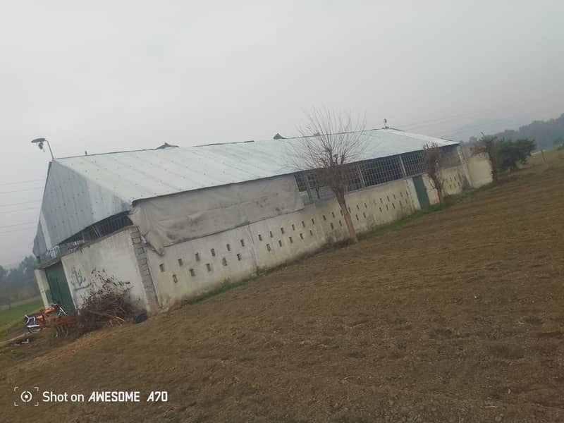 shed structure 4