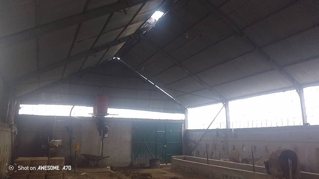 shed structure 5