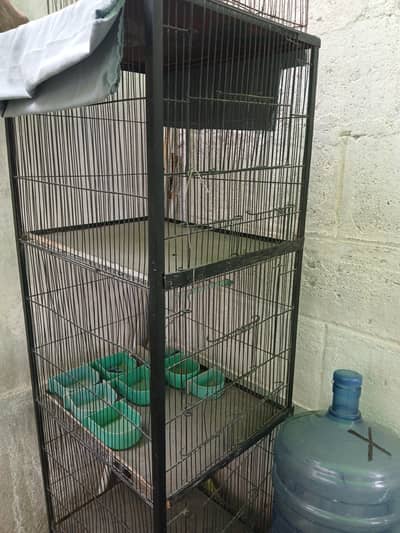 Cage Birds (4 Portions)