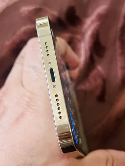 Apple iPhone 12 Pro Max