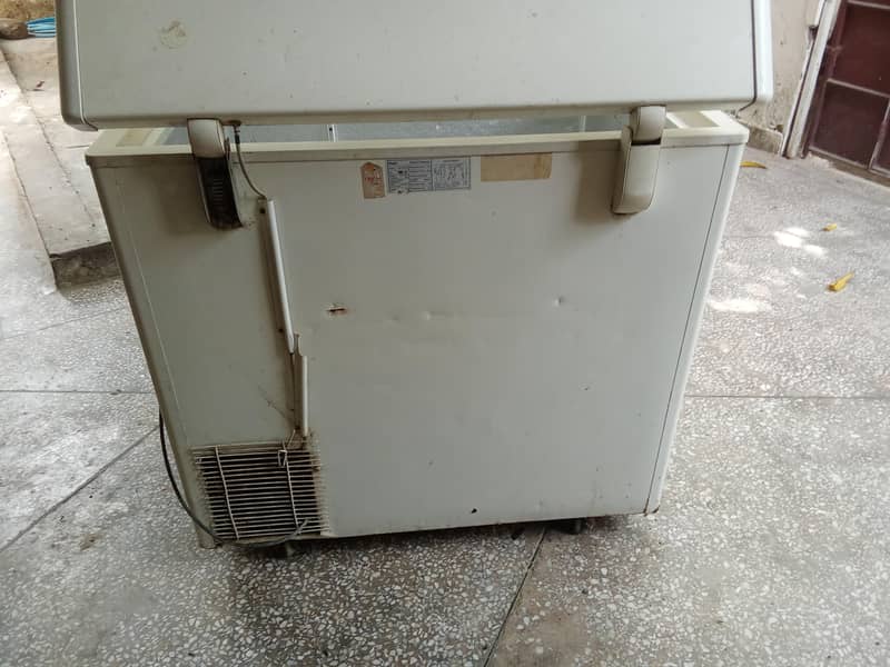 freezer 4