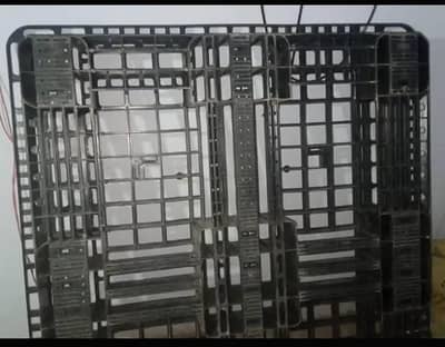 plastic pallet