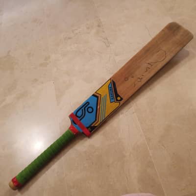 hard ball bat
