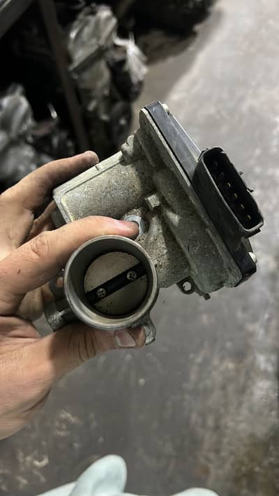 Wagaron 660 ccc 2020 model