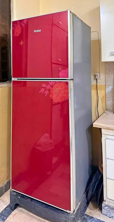 Haier full size glass dor