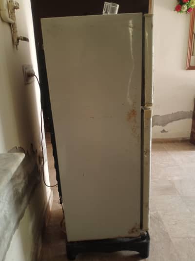Dawlnce farij han medium size han raining ma han03036256657