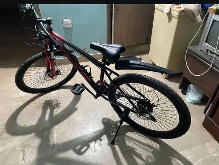 Bicycle 2