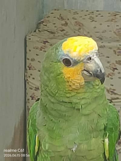 Pakistan Karachi orangi town Gulshan Bihar